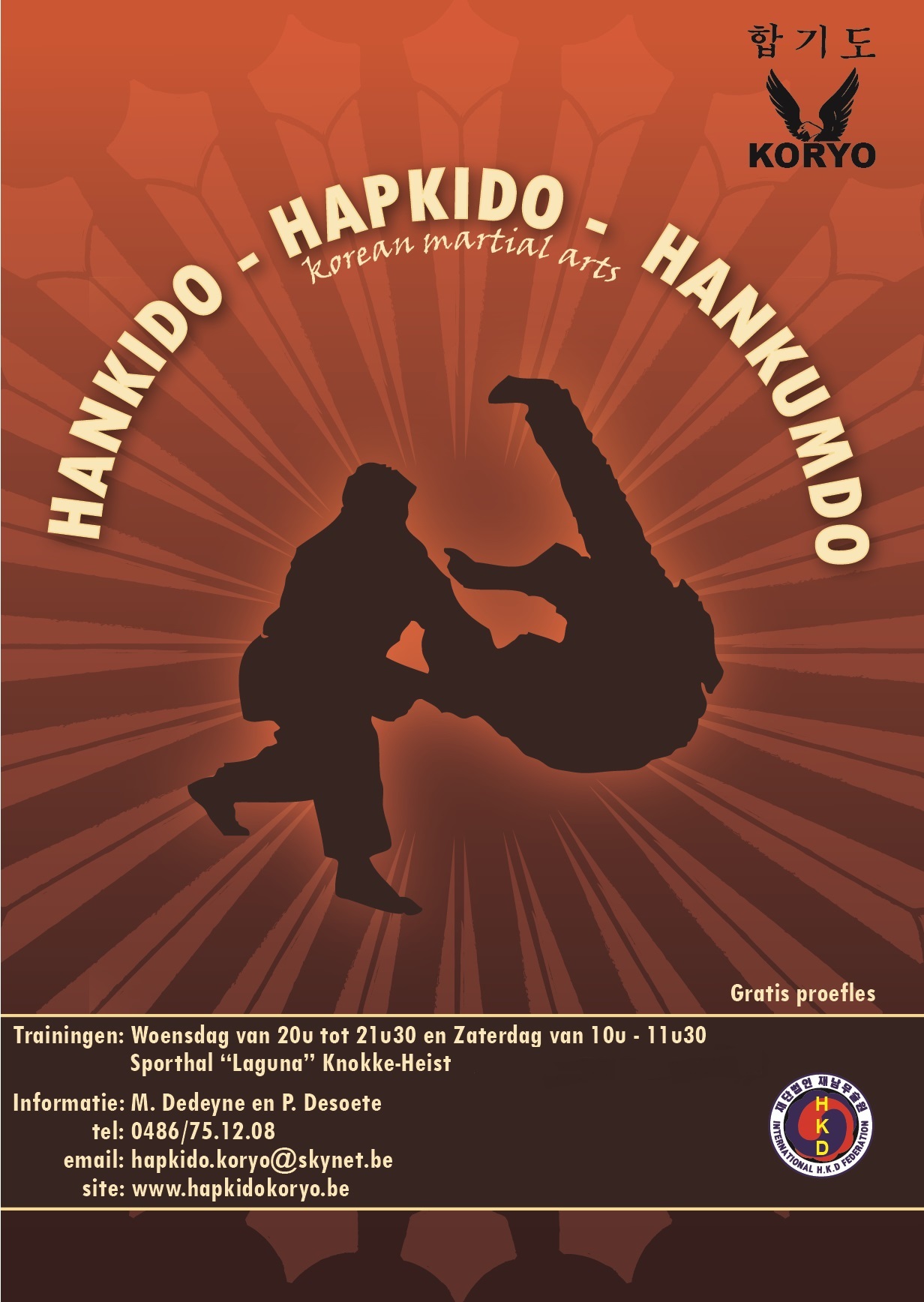 Flyer Hapkido